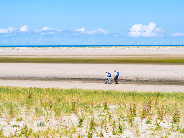 13 schöne Inseln in Europa - Schiermonnikoog