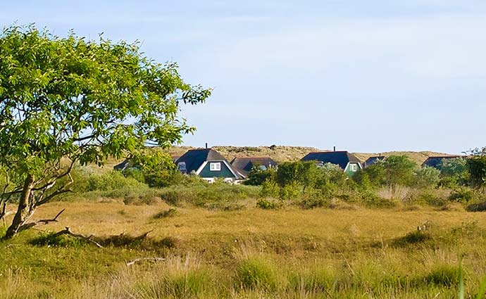 Ameland Ferienhaus mieten