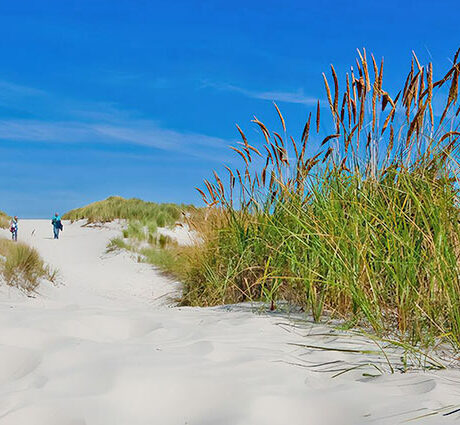 Sport und Freizeit auf Ameland