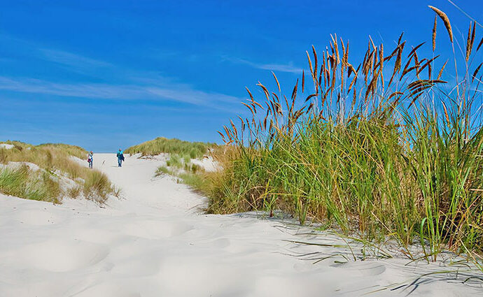 Sport und Freizeit auf Ameland