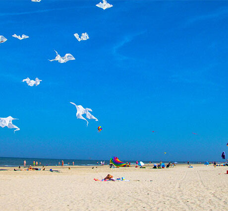 Veranstaltungen auf Ameland